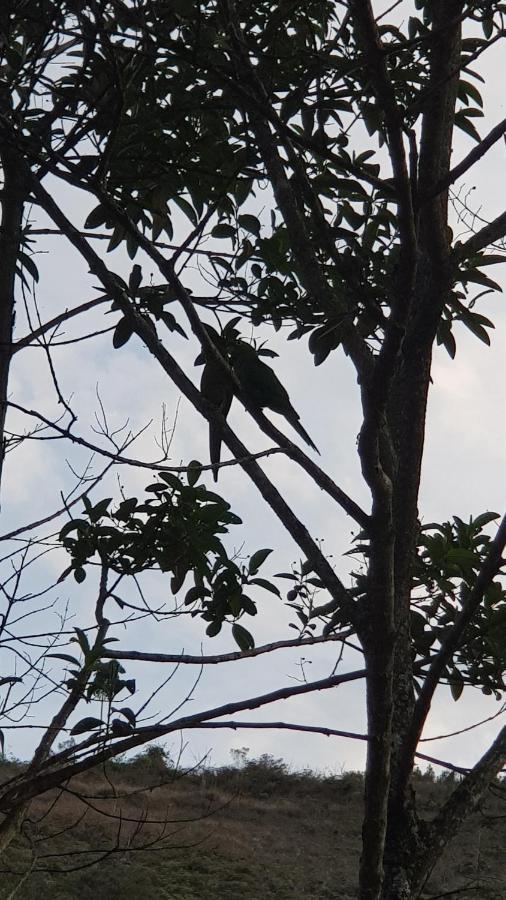 Vale Das Maritacas Teresopolis Vila Exterior foto