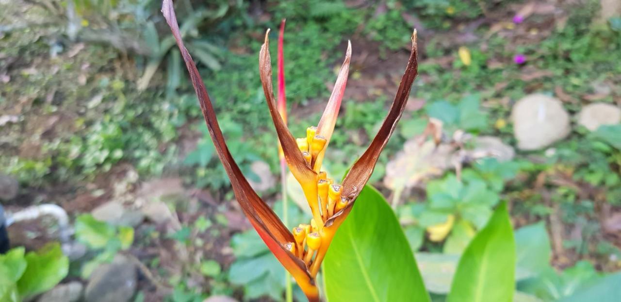 Vale Das Maritacas Teresopolis Vila Exterior foto